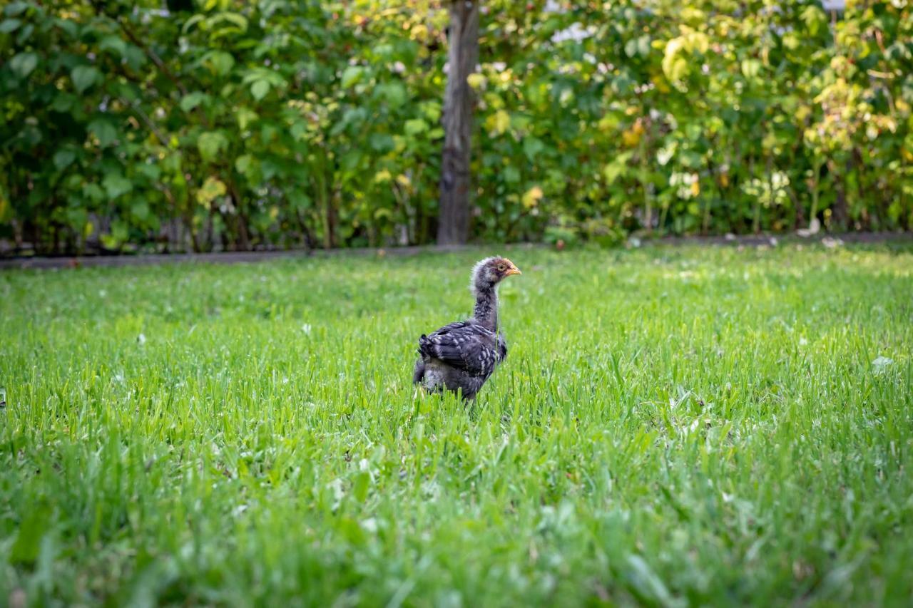 Ferienhaus Goestling Villa Göstling an der Ybbs Esterno foto